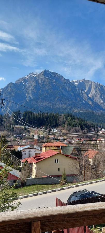 Mountain View Apartman Szászbuda Kültér fotó